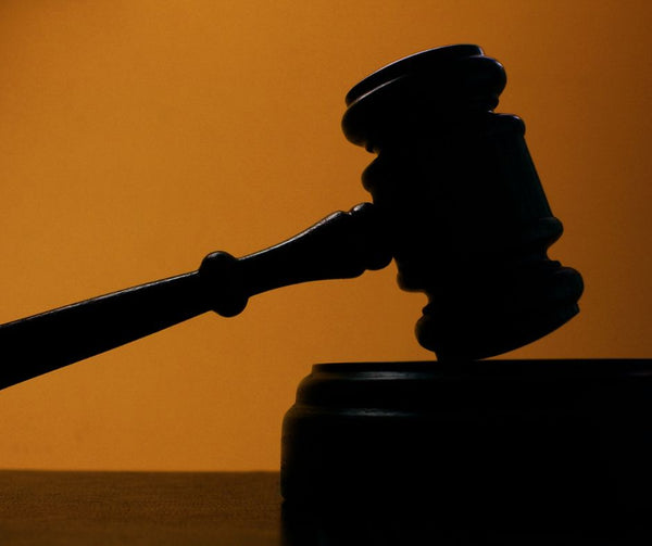 Plaideurs Quérulents : Quand la Quête de Justice Devient Abusive