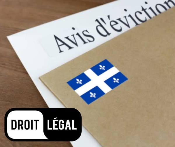 Éviction : ce que locataires et propriétaires doivent savoir