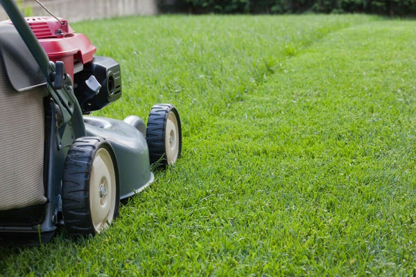 La règlementation des espaces verts