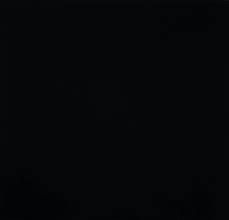 Numéro d'entreprise (NE) Fédéral